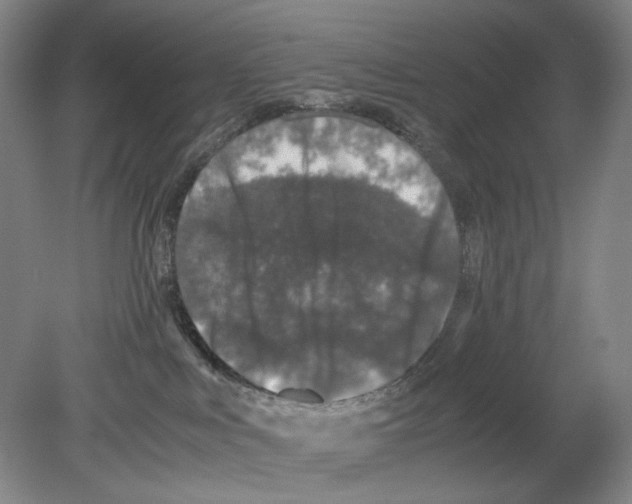 X0000080160043200701051616