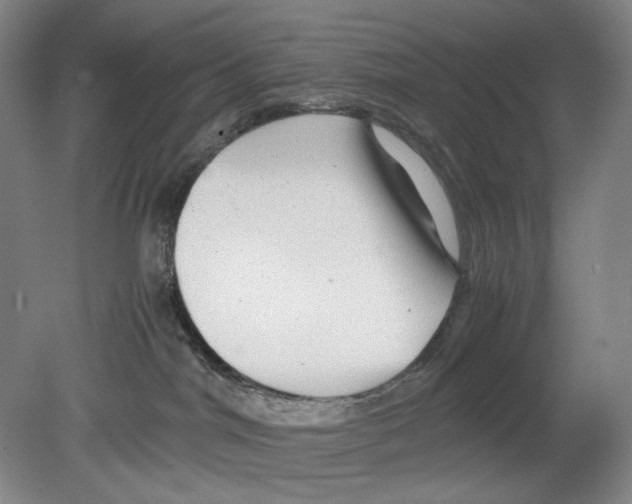 X0000080160044200701051616