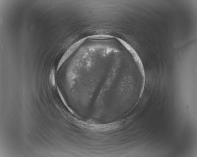 X0000080160046200701051616