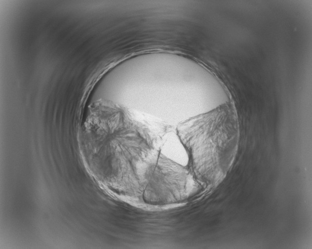 X0000080160049200701051616