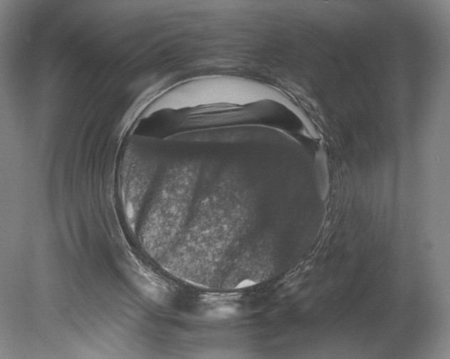 X0000080160051200701051616