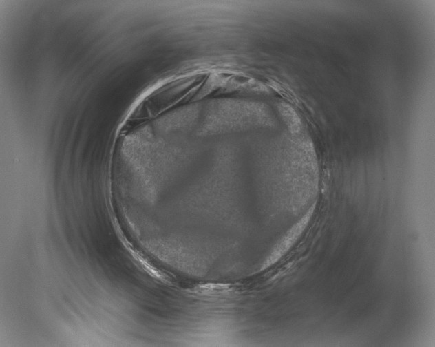 X0000080160052200701051616