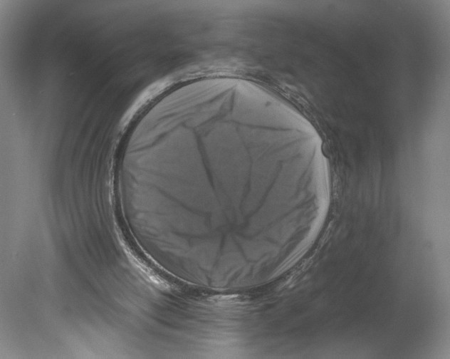 X0000080160054200701051616