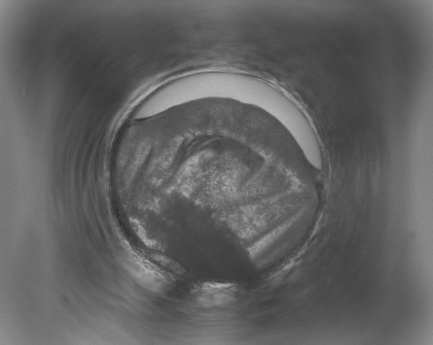 X0000080160055200701051616