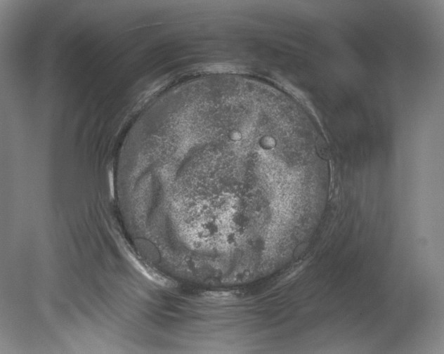 X0000080160061200701051616