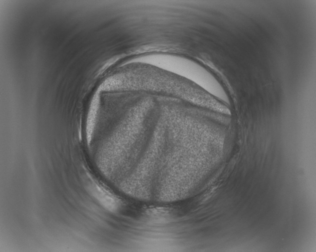 X0000080160062200701051616