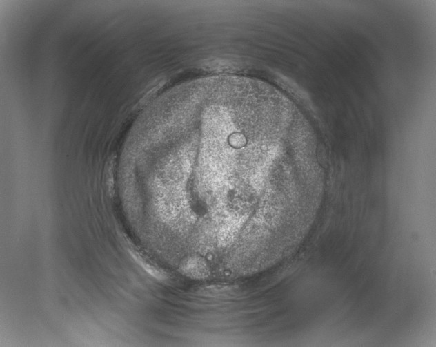 X0000080160065200701051616