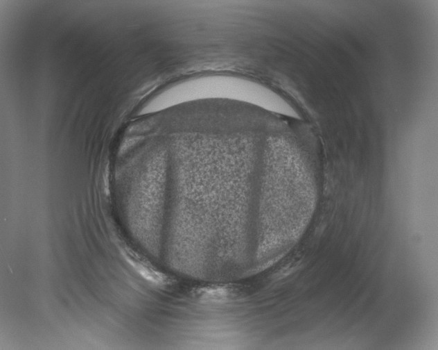 X0000080160068200701051616