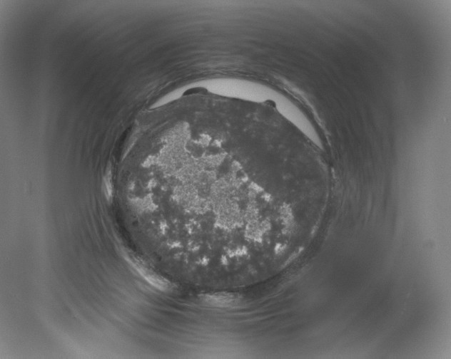 X0000080160069200701051616