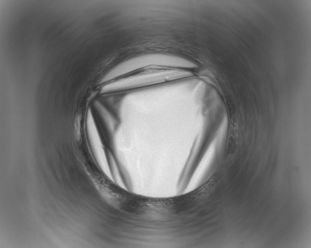 X0000080160070200701051616