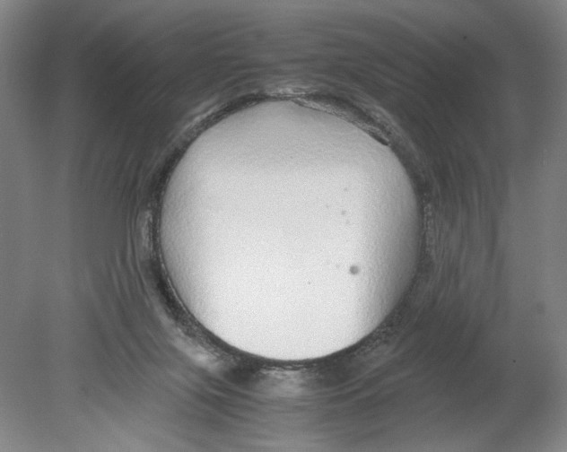 X0000080160071200701051616