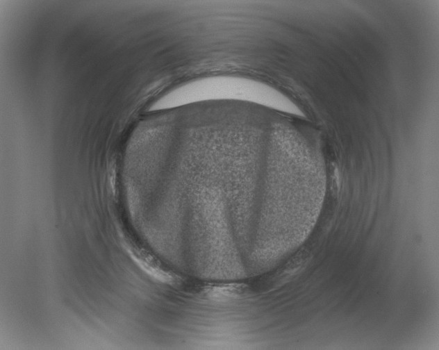 X0000080160072200701051616