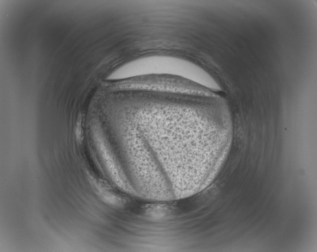 X0000080160074200701051616