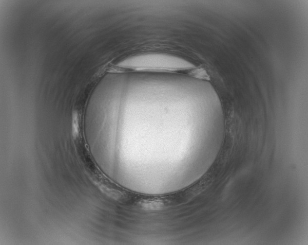 X0000080160075200701051616