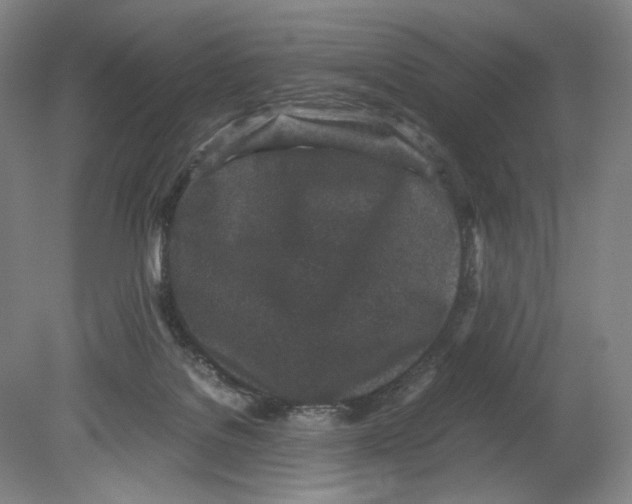 X0000080160076200701051616