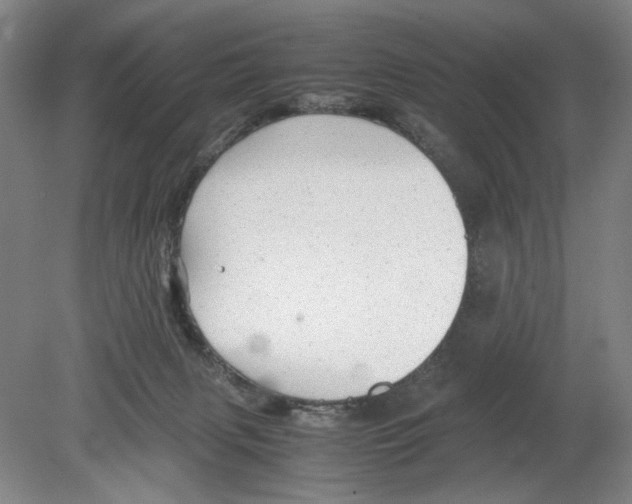 X0000080160079200701051616