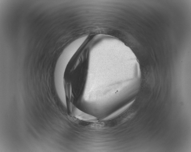 X0000080160080200701051616