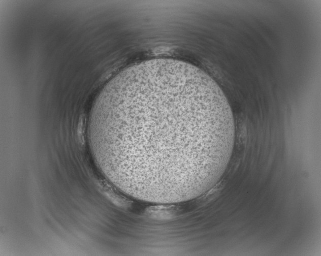 X0000080160082200701051616