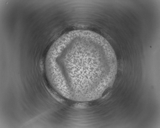 X0000080160086200701051616