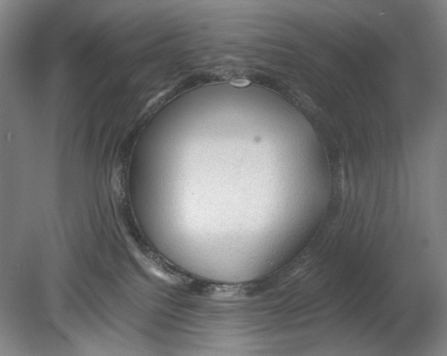 X0000080160088200701051616