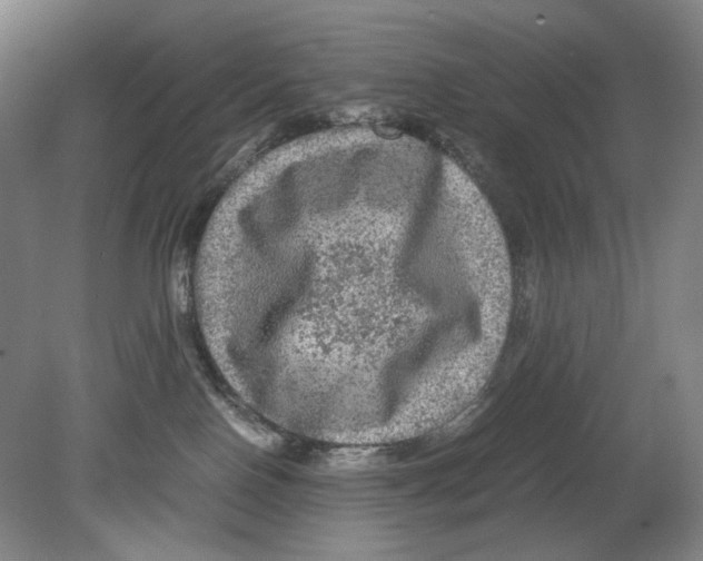 X0000080160090200701051616