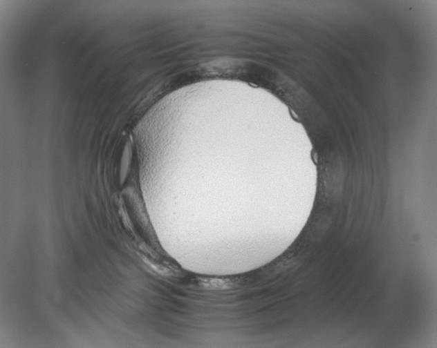 X0000080160091200701051616