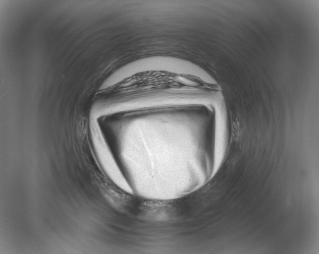 X0000080160093200701051616