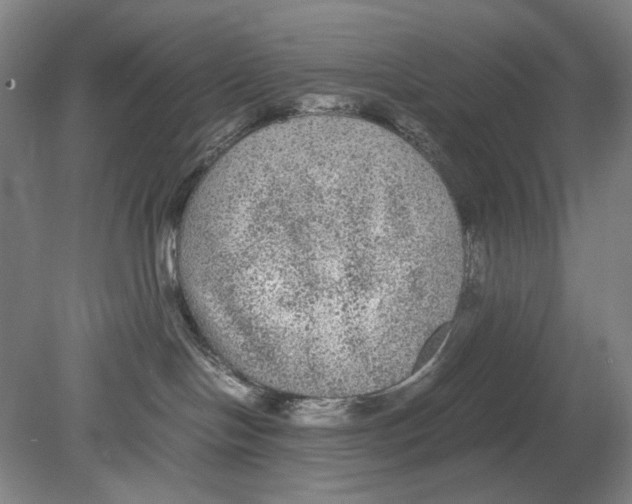 X0000080160094200701051616