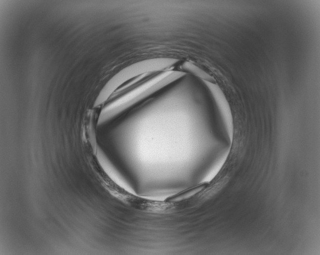 X0000080160096200701051616