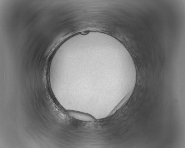 X0000080160098200701051616