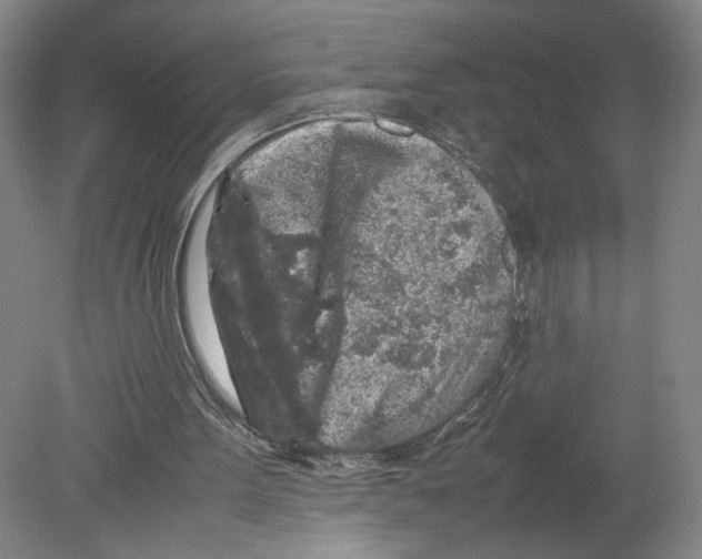 X0000080160099200701051616