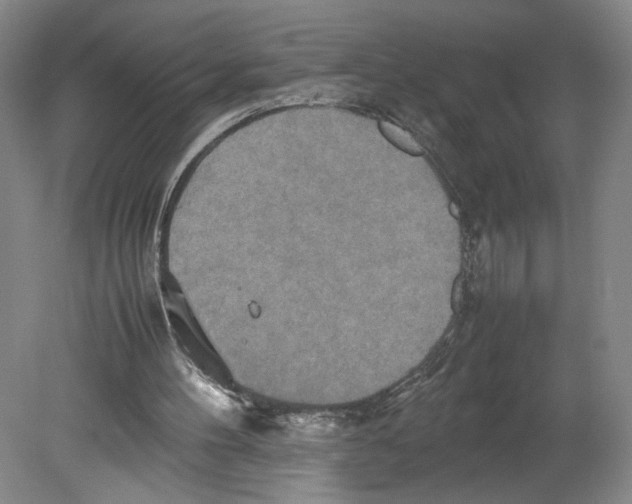 X0000080160100200701051616