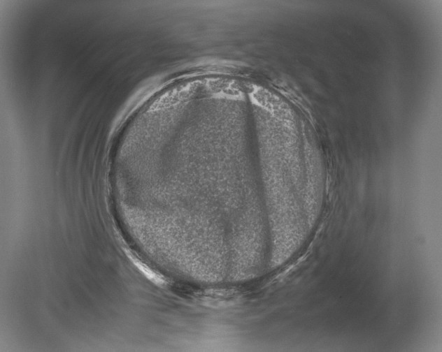 X0000080160101200701051615