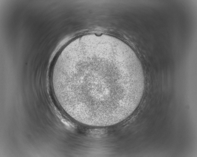 X0000080160102200701051615