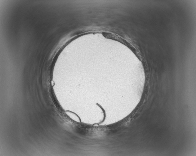 X0000080160103200701051615