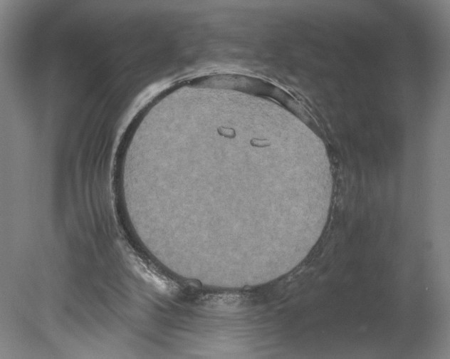 X0000080160104200701051615