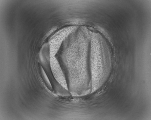 X0000080160105200701051615