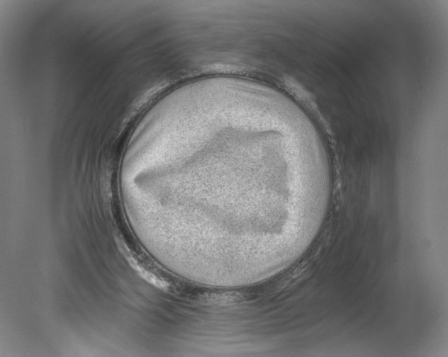 X0000080160106200701051615