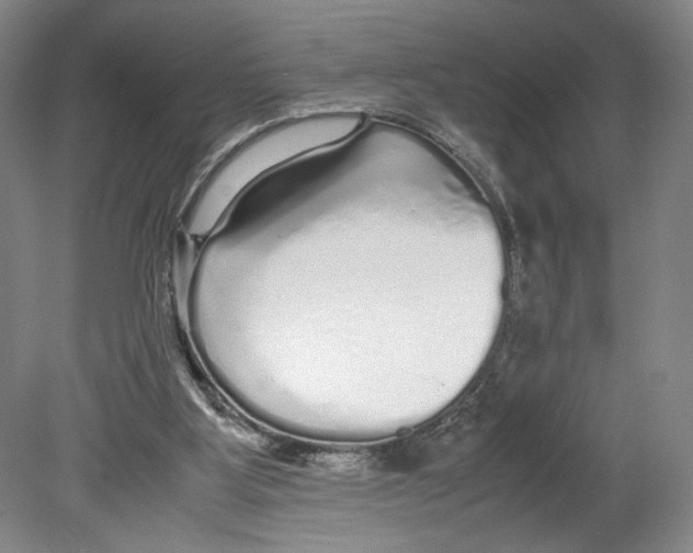 X0000080160107200701051615