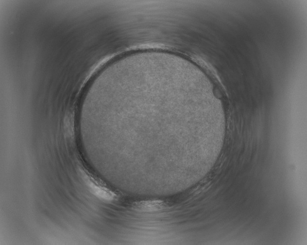 X0000080160108200701051615