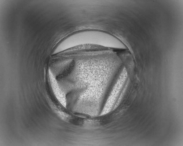 X0000080160109200701051615