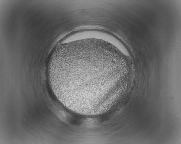 X0000080160111200701051615