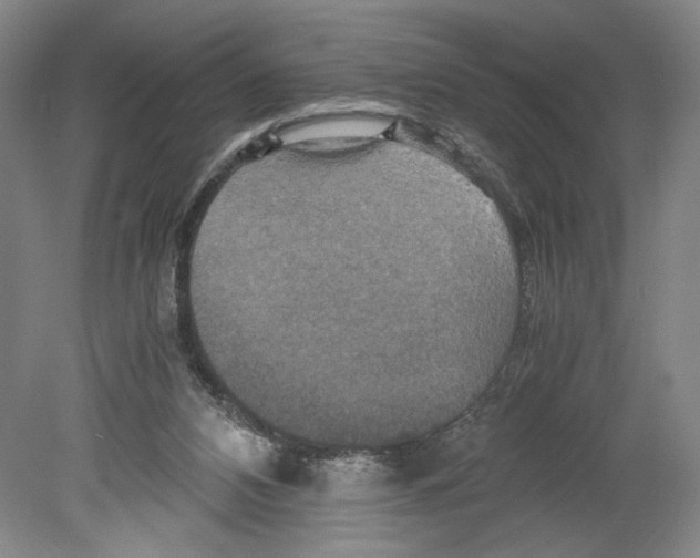 X0000080160112200701051615