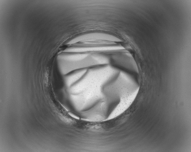 X0000080160113200701051615