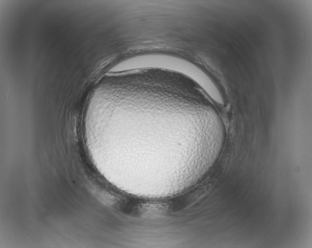 X0000080160115200701051615