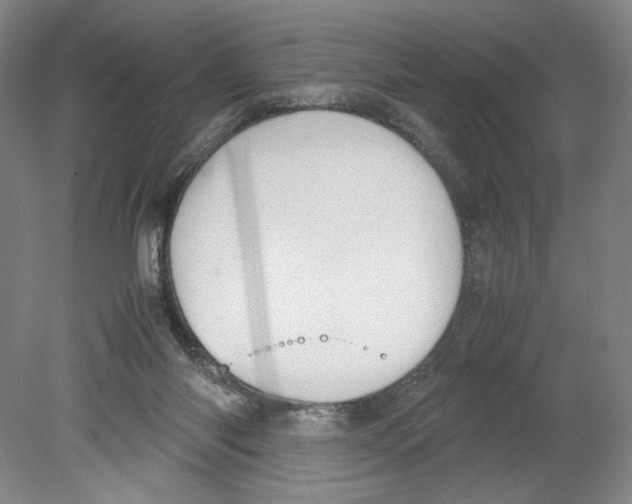 X0000080160118200701051615