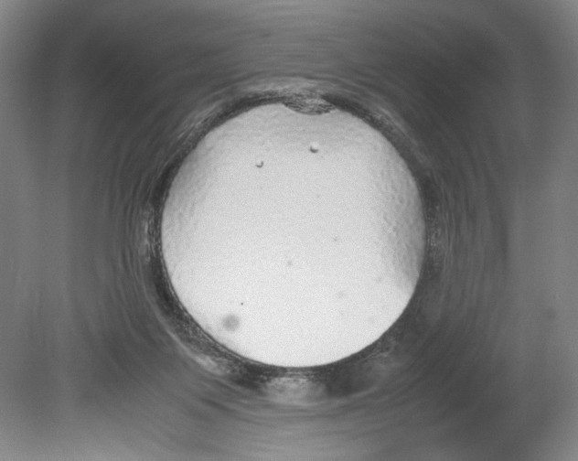 X0000080160119200701051615