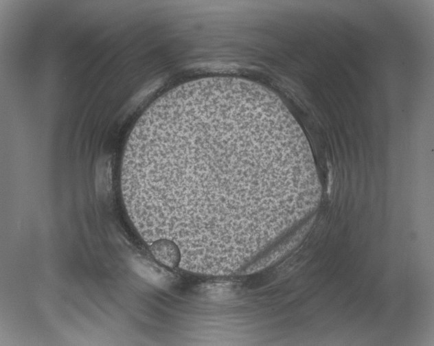 X0000080160120200701051615