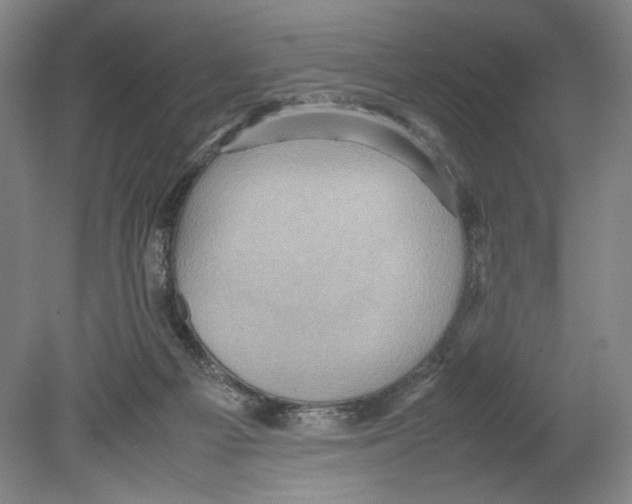 X0000080160121200701051615