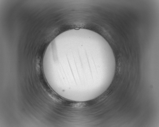 X0000080160122200701051615